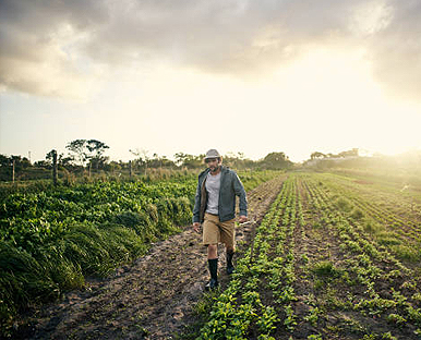 Sensibilisation & formation