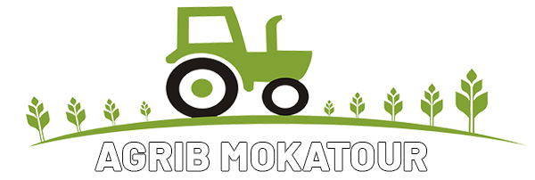 Bienvenue sur le site Officiel de AGRIB MOKATOUR